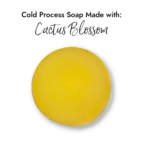 Cactus Blossom - Premium Fragrance Oil